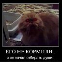 ���� ������������������������������������������������������������������, ��������, 39 ��� - ��������� 10 ������� 2011 � ������ ����ݻ