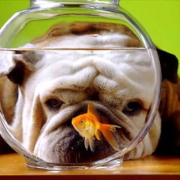 ���� ������, �������, 44 ���� - ��������� 14 ����� 2010