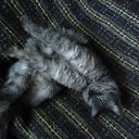 ���� �������, �����-���������, 61 ��� - ��������� 22 ���� 2010 � ������ ���� �����