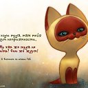 ���� �����, ��������, 40 ��� - ��������� 5 ��� 2013 � ������ �����