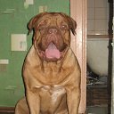 ���� ���, ����� - ��������� 27 ������� 2012 � ������ ���� ����������