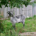 ���� �����, �������������, 32 ���� - ��������� 6 ��� 2010 � ������ ��2�