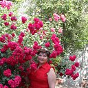 ���� �����, ������, 69 ��� - ��������� 14 ���� 2012 � ������ ���� ����������