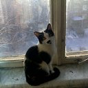 ���� �������, ���������, 51 ��� - ��������� 18 ������ 2012 � ������ �������