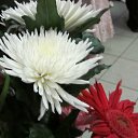���� �����, ���������, 40 ��� - ��������� 10 �������� 2011 � ������ �������� ����� �������