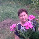 ���� �����, ��������� - ��������� 31 ��� 2013 � ������ ���� ����������