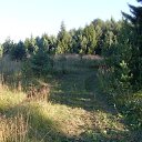 ���� ������ �����, �����, 58 ��� - ��������� 3 �������� 2012