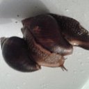 ���� ������, ���������, 48 ��� - ��������� 29 ������� 2012 � ������ ���� �����