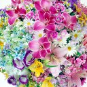 ���� ����� - ���������� ��������!!!, �����������, 56 ��� - ��������� 16 ������ 2010 � ������ ������ۻ