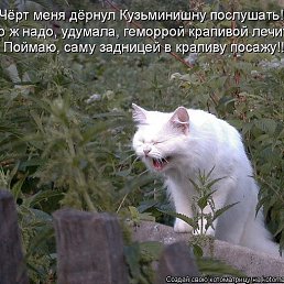���� �����, �����-����, 22 ���� - ��������� 31 ���� 2013