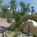 ���� ���������, �������, 45 ��� - ��������� 21 ������ 2012 � ������ �������