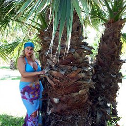 ���� ���������, �����-���������, 41 ��� - ��������� 30 ���� 2012