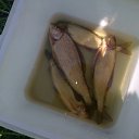 ���� Aleksey, ������-��-����, 54 ���� - ��������� 4 ������� 2012 � ������ ���� ����������