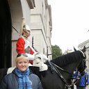 ���� ���, ������ ��������, 49 ��� - ��������� 18 ������ 2012 � ������ ������߻