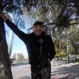 ������, �������, 51 ���