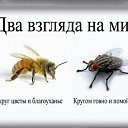 ���� �������, ����������� - ��������� 14 ���� 2013 � ������ ���� ����������