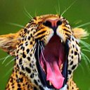 ���� �����, �����������, 61 ��� - ��������� 26 ������� 2012