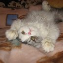 ���� �������, ������, 59 ��� - ��������� 14 ������� 2009 � ������ ���� ������� ��� ����