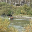 ���� ��������, �����, 49 ��� - ��������� 13 �������� 2009 � ������ �������� � ����� � �������������