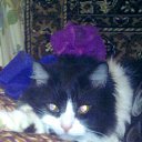 ���� ������, ��������� - ��������� 31 ������ 2011 � ������ ����...�