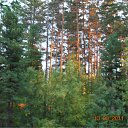 ���� ���������, ����-���, 67 ��� - ��������� 7 ������ 2012 � ������ �������