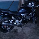 ���� �������� ���, �������, 38 ��� - ��������� 30 ���� 2013