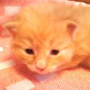 ���� Aleksandr:), �����������-��-�����, 54 ���� - ��������� 12 ������� 2010 � ������ ����� � ������