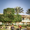 ���� ����, �����-���������, 65 ��� - ��������� 10 ������ 2013 � ������ ���� ����������