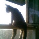 ������������ ��� �� ������� ���������