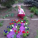 ���� ��������, �������� - ��������� 30 ��� 2012 � ������ ���� ����������