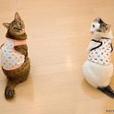 ���� ���������, ���������, 47 ��� - ��������� 29 ���� 2010 � ������ �������