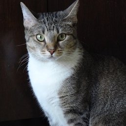 ���� Ralf, �����-���������, 70 ��� - ��������� 4 ���� 2012