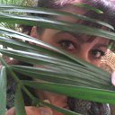 ���� ��������, ����, 50 ��� - ��������� 20 ��� 2011 � ������ ����� ��