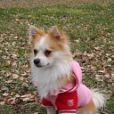  Avat@r4ik, , 52  -  22  2011   