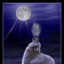 ���� Nadin, �����-���������, 41 ��� - ��������� 16 ��� 2011 � ������ ���� ����������