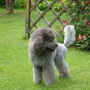 ���� ��������, ������, 69 ��� - ��������� 5 ��� 2012