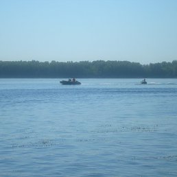 ���� �����, �������, 46 ��� - ��������� 19 ������ 2010