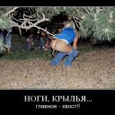 ���� ������, �����, 28 ��� - ��������� 11 ������ 2010 � ������ �������