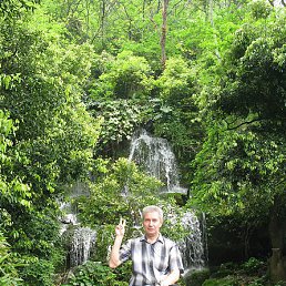 ���������, �������, 65 ���