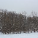 ���� �����, ������ - ��������� 12 ������ 2012 � ������ ������������� ���.�