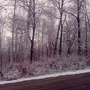 ���� �����, ���������, 27 ��� - ��������� 10 ��� 2013 � ������ ���� ����������