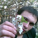 ���� Cherri..., ������, 40 ��� - ��������� 9 ������ 2010 � ������ ���� ����������