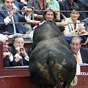 ���� Odessit, ���� - ��������� 28 ������� 2012 � ������ ���� ����������