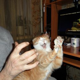 ���� ��������, ��������, 60 ��� - ��������� 19 ������� 2012