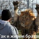 ���� �������, ��������, 49 ��� - ��������� 21 ��� 2013