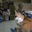 ��� ������ �������� � �������� ������� � ������� �����.���. �� �� ����� ������ ���� � (��������� ������) �� ������� ���� ������������.�