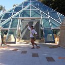 ���� ����, �����������, 38 ��� - ��������� 28 ������� 2011 � ������ �2011�