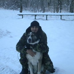 ���� �����, �����, 41 ��� - ��������� 22 ����� 2012