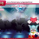 ���� �����, ������, 34 ���� - ��������� 1 ������ 2010 � ������ �PetLove�