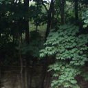 ���� ���������, ������, 45 ��� - ��������� 12 ���� 2013